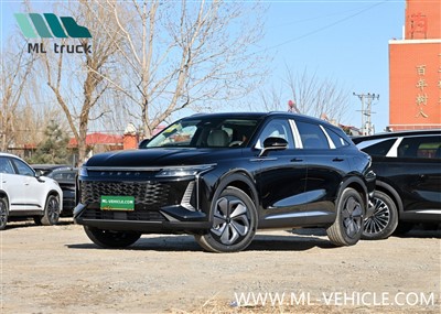 2024 EXEED YaoGuang C-DM PHEV visureigis